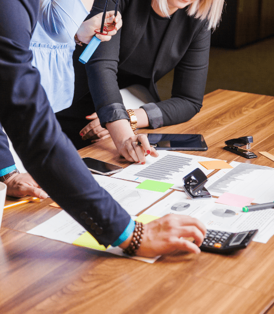 Konsultancy for Financial Planning Analysis